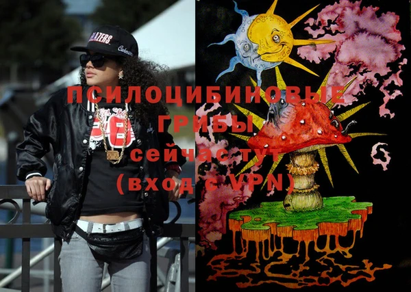 ECSTASY Алексин